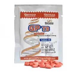 GP T3