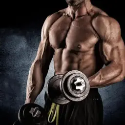 Beginners mixt bulk cycle #2 -  9 weeks