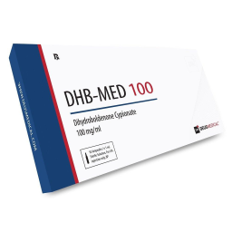 DHB 100