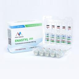 Enastyl 250 - Testosterone Enanthate - Andro Medicals - Europe