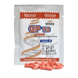 GP T3