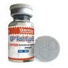 GP Test Cyp 250