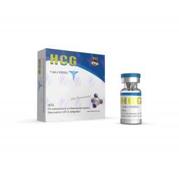 HCG 10000 IU - Human Chorionic Gonadotrophin - Odin Pharma