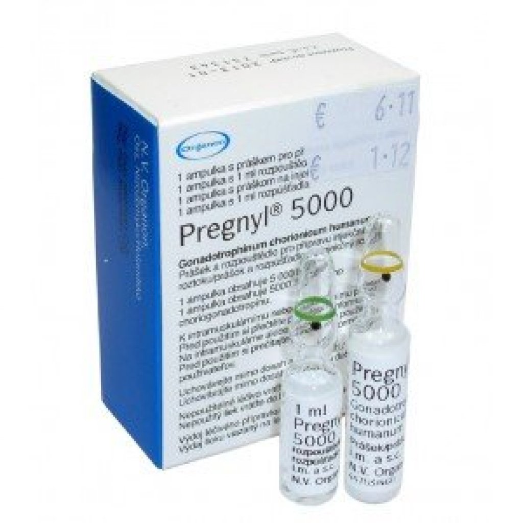 Pregnyl 5000 IU | Buy Organon Human Chorionic Gonadotropin (hCG) on .
