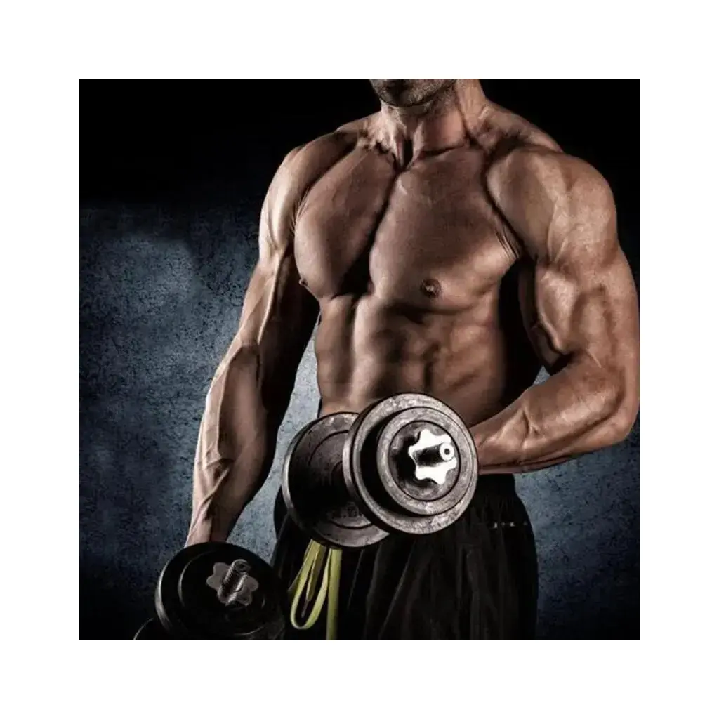 Professional Bulking Cycle 16 Weeks Professional Bulking Cycle 16 Weeks
