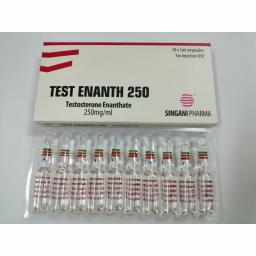 Test Enanth 250 - Testosterone Enanthate - Singani Pharma