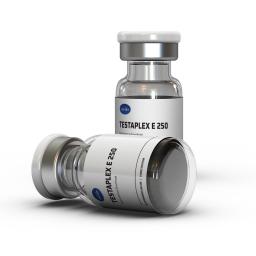 Testaplex E 250 - Testosterone Enanthate - Axiolabs