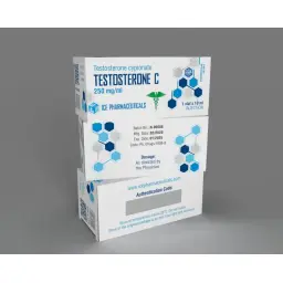 Testosterone C