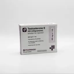 TESTOSTERONE E 300