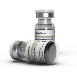 Testosterone Enanthate 250
