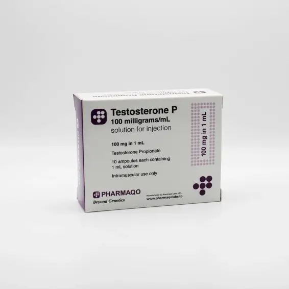 TESTOSTERONE P 100
