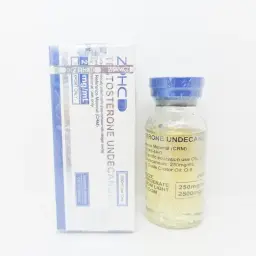 Testosterone Undecanoate 250